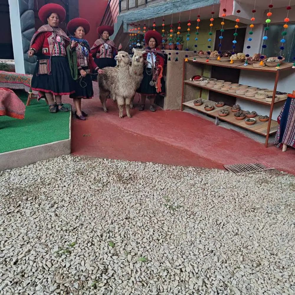 Guía de Qori Wayra con viajeros en los Andes de Cusco